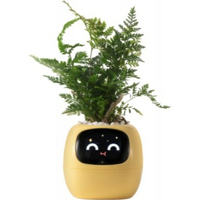 PLANTSIO Inteligentní květináč IVY žlutý PLANTSIO IVY YEL