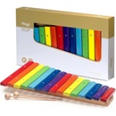 Stagg XYLO-J15 RB