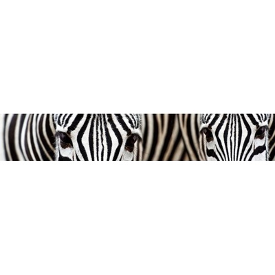KI-350-016 Fototapeta do kuchyně Zebra rozměry 350 x 60 cm