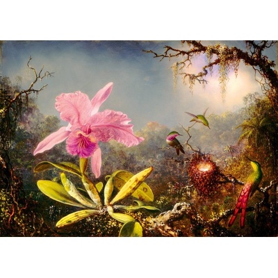 BlueBird Martin Johnson Heade Cattleya Orchid a tři kolibříci 1000 dílků