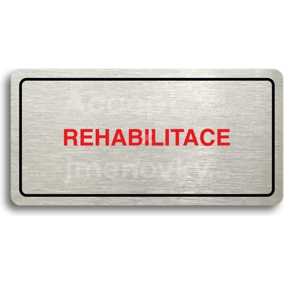 ACCEPT Piktogram REHABILITACE - stříbrná tabulka - barevný tisk