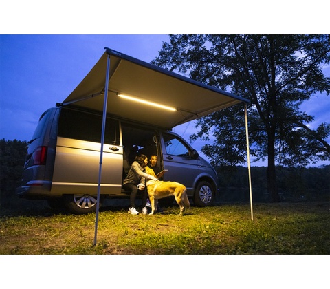 Rafter LED Van