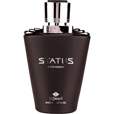 Tad Angel Status Homme EDP 100 ml