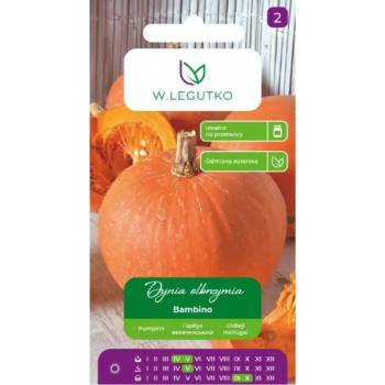 W. Legutko Гигантска тиква Bambino - оранжева, плод около 15 кг