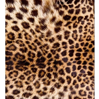DIMEX MS-3-0184 vliesová fototapeta na zeď leopardia koža rozmery 225 x 250 cm