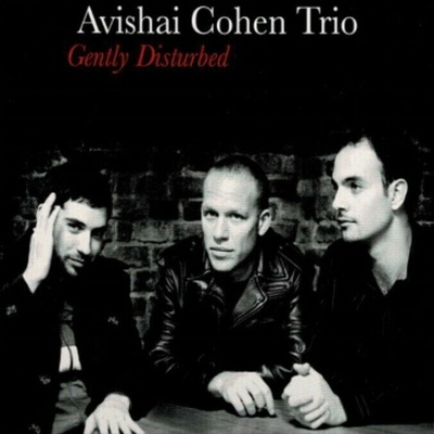 Cohen Avishai - Gently Disturbed LP