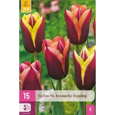 Maják Tulipán My Favourite Topping XXL "E+" 15 ks
