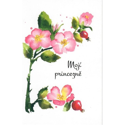 Kresli.to Luční přání - Mojí princezně