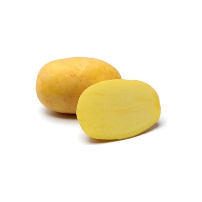 Sadba brambor AGRIA pytel 25 kg sadbové brambory - Heureka.cz
