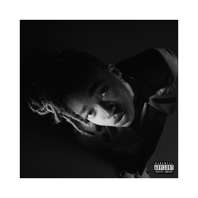 LITTLE SIMZ - Grey Area White LP
