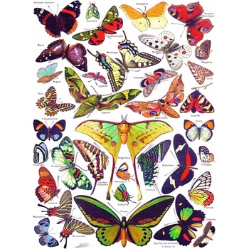 New York Puzzle Company - Puzzle Butterflies - Papillons - 1 000 piese