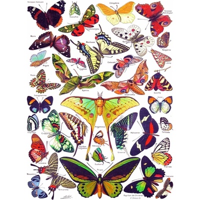 New York Puzzle Company - Puzzle Butterflies - Papillons - 1 000 piese
