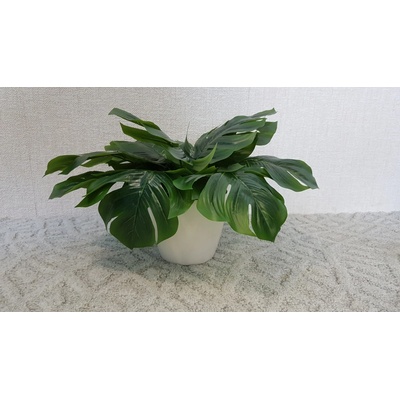 Umelá rastlina- Monstera