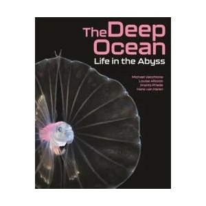 Deep Ocean | Louise Allcock, Michael Vecchione, Imants Priede, Hans Van Haren (ISBN: 9780691226811)