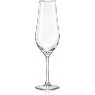 Crystalex Skleničky na šampaňské Tulipa průhledný 6 x 170 ml