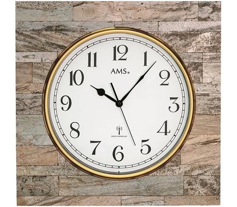 AMS 5567