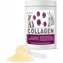 Dromy Collagen 0,9 kg