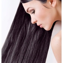 Sanotint Clasik farba na vlasy 01 čierna