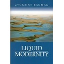Liquid Modernity