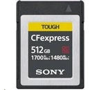 Sony 512 GB CEBG512
