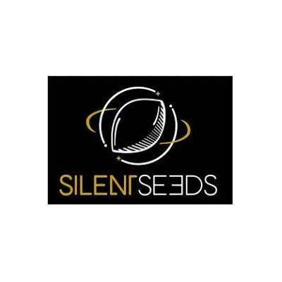 Silent Seeds Original Amnesia semienka neobsahujú THC 3 ks