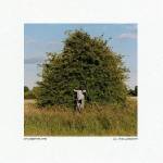 Grandbrothers - All The Unknown (2 LP) (4250506837082)