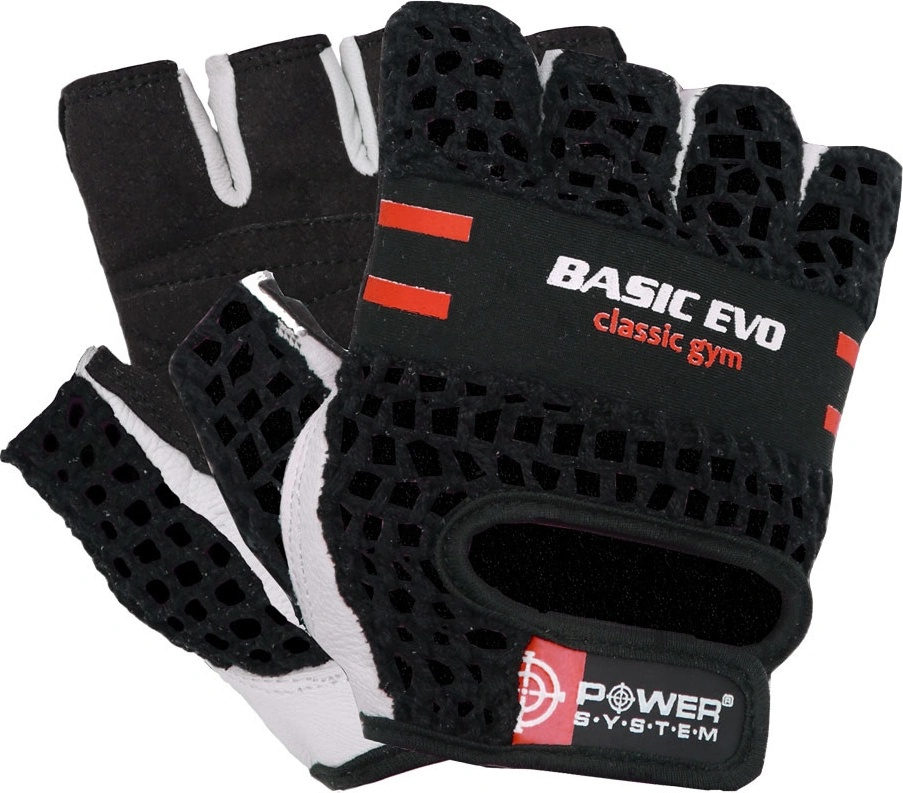 Power System Basic Evo