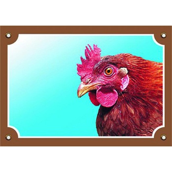 DAFIKO Barevná cedulka Pozor pes Slepice