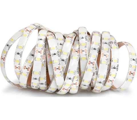 ECOLIGHT EC79650