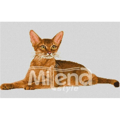 Milena Style Абисинска котка - гоблен със схема конци dmc 1: 1