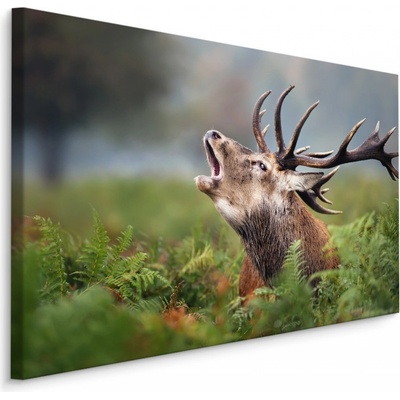 MyBestHome BOX Plátno Jelen V Říji Varianta: 30x20
