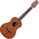 Takamine GUT1