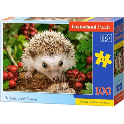 Castorland Hedgehog with Berries 100 dielov