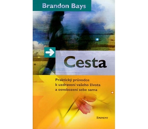 Cesta - Brandon Bays