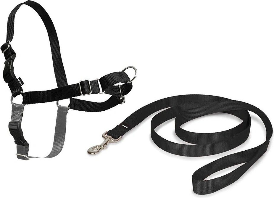 PetSafe EasySport postroj pre psa