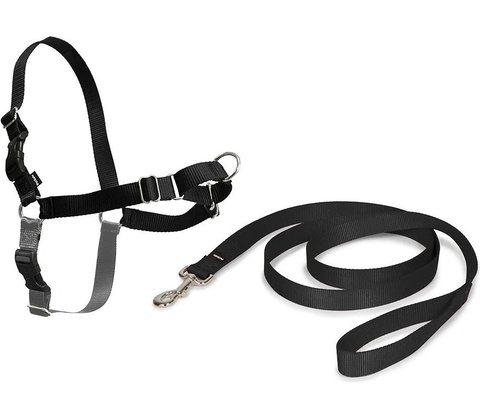 PetSafe EasySport postroj pre psa