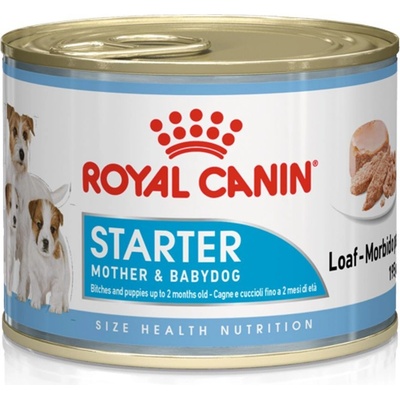 Royal Canin Starter Mousse 6 x 195 g