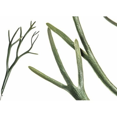 Dekoratívna vetvička 3384 84cm