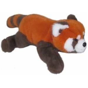 SUN-DAY Red panda lying down