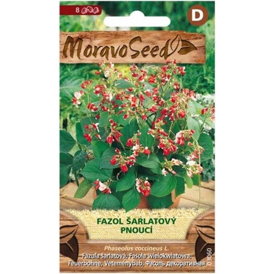Osivo Fazol šarlatový pnoucí, směs - VÝPRODEJ