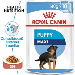 Royal Canin Maxi Puppy 10x140 g