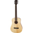 Cort Earth Mini