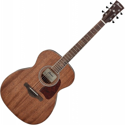 Ibanez AAM50-OPN