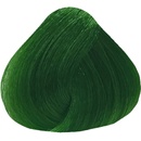 Dusy Color Injection pigmentová farba Springlike 115 ml