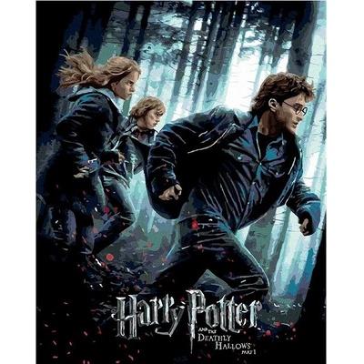 Zuty Malování Podle Čísel Plakát Harry Potter A Relikvie Smrti Na Útěku 40 x 50 Cm Plátno Rám