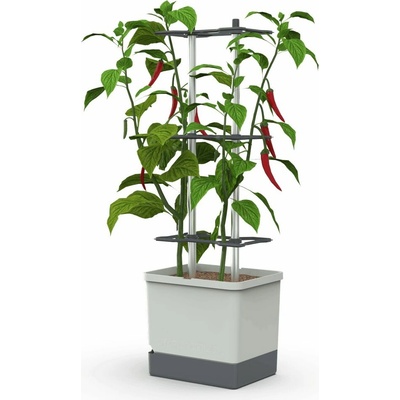 Gusta Garden CHARLY CHILI XL samozavlažovací truhlík svetlosivý GG-XL100710