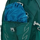 Osprey Tempest III 20l jasper green