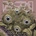 DISASTROID - GARDEN CREATURES LP