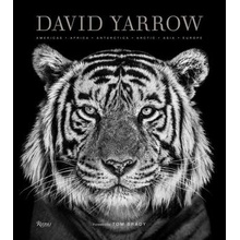 David Yarrow Photography