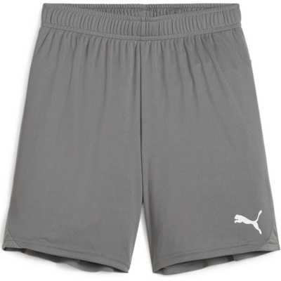 Puma teamGOAL Shorts Jr šedá